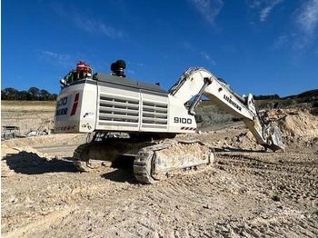 Leasing de Liebherr R9100 Liebherr R9100: foto 1