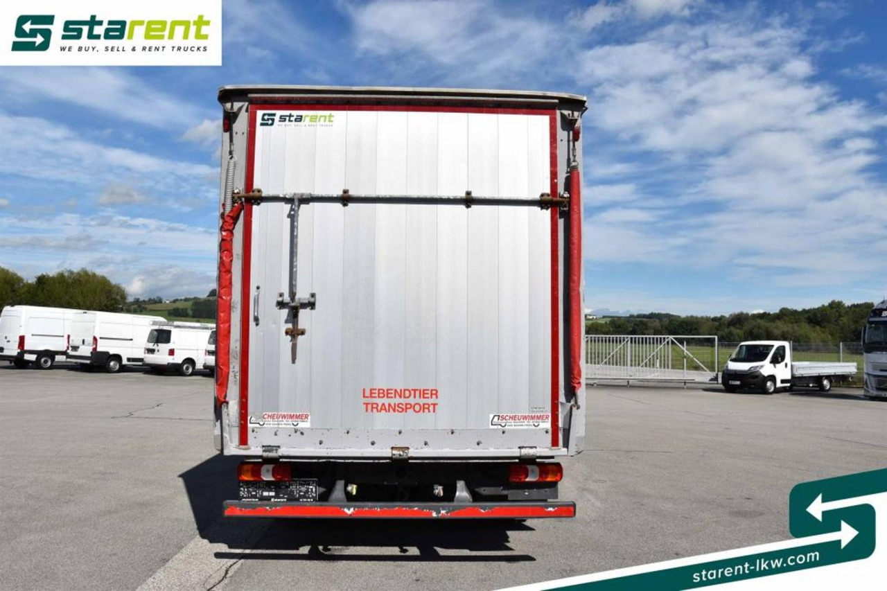 Camión transporte de ganado Mercedes Benz 818 Viehtransporter Scheuwimmer Aufbau: foto 6