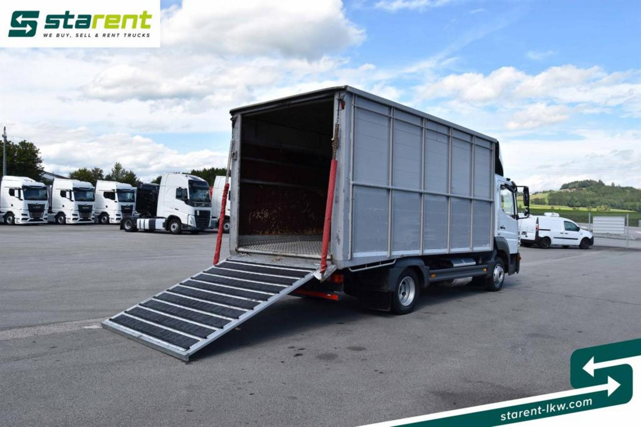 Camión transporte de ganado Mercedes Benz 818 Viehtransporter Scheuwimmer Aufbau: foto 10