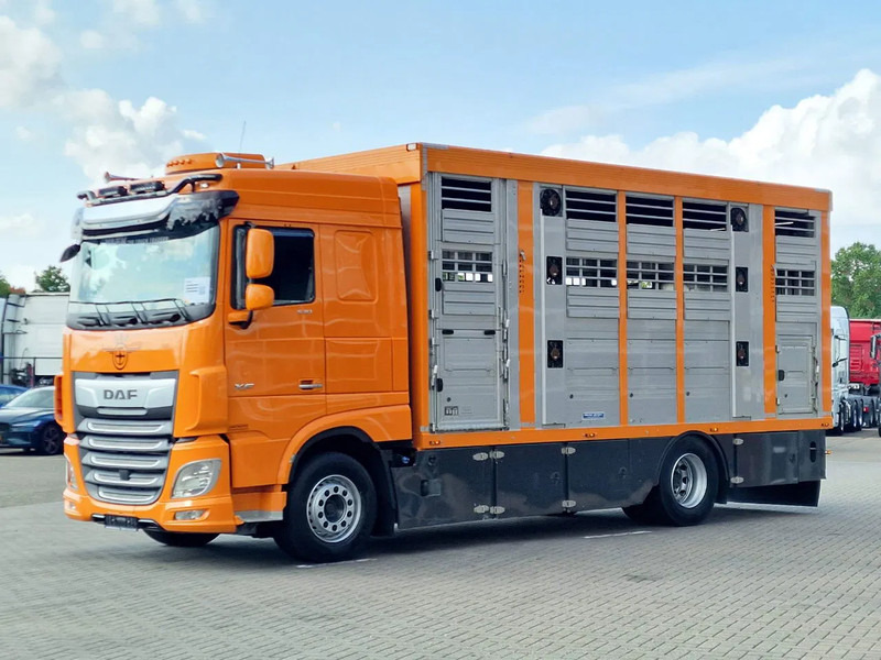 DAF XF 530 4x2 - Livestock Menke 2 deck water & ventilation - Camión transporte de ganado: foto 5 DAF XF 530 4x2 - Livestock Menke 2 deck water & ventilation - Camión transporte de ganado: foto 5