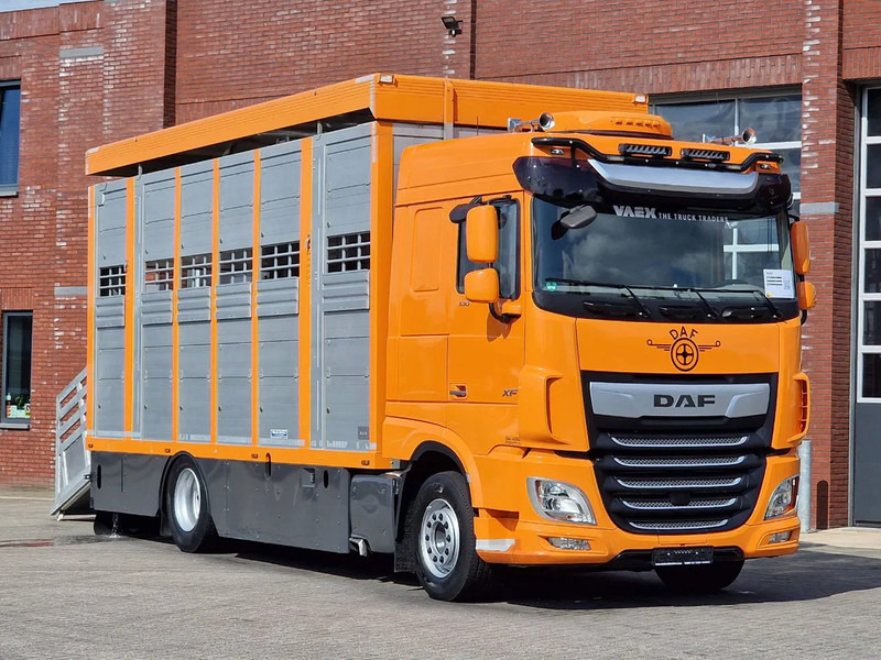 DAF XF 530 4x2 - Livestock Menke 2 deck water & ventilation - Camión transporte de ganado: foto 1 DAF XF 530 4x2 - Livestock Menke 2 deck water & ventilation - Camión transporte de ganado: foto 1