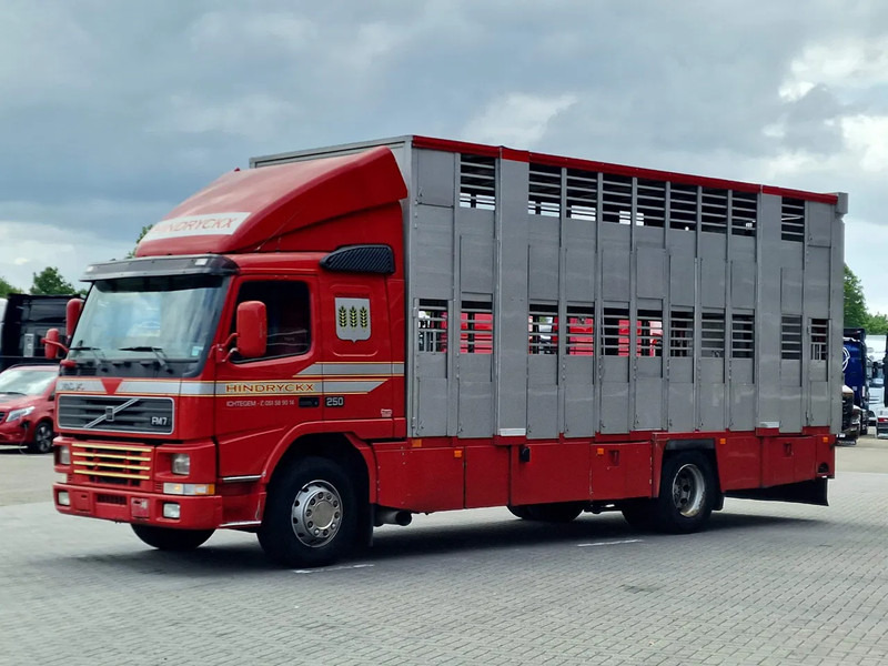 Volvo FM 250 4x- Livestock 2 deck - Lifting floors - Loadlift - Manual gearbox - Camión transporte de ganado: foto 3 Volvo FM 250 4x- Livestock 2 deck - Lifting floors - Loadlift - Manual gearbox - Camión transporte de ganado: foto 3