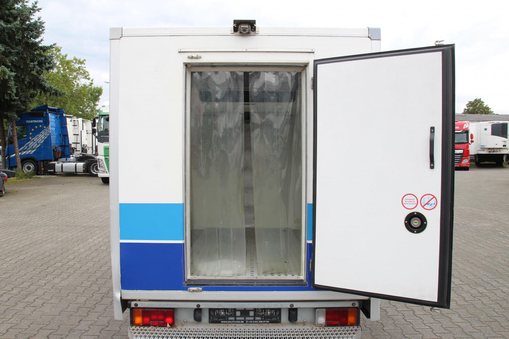 Furgoneta Fiat Scudo Thermo King V-500Max Tiefkühl Strom FRCX: foto 12