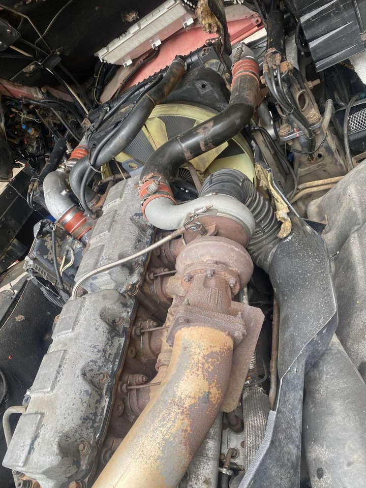 Cabeza tractora RENAULT Magnum 480: foto 24