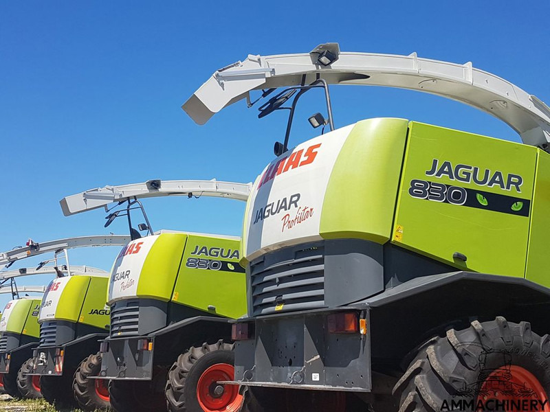 Claas 800 and 900 series - Cosechadora de forraje: foto 1 Claas 800 and 900 series - Cosechadora de forraje: foto 1