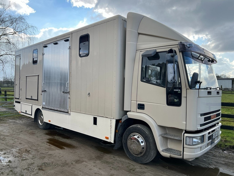 Iveco 120E18 - 3 HORSES - MANUAL - STEEL SUSPENSION - Camión para caballos: foto 2 Iveco 120E18 - 3 HORSES - MANUAL - STEEL SUSPENSION - Camión para caballos: foto 2
