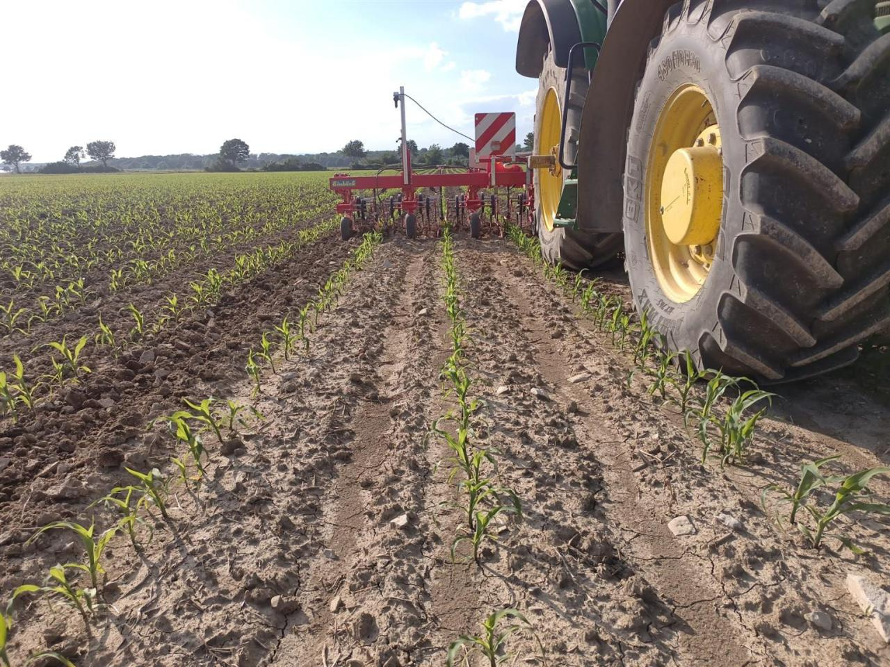 Firestone 460/85R42 480/70R30 - Neumático: foto 5 Firestone 460/85R42 480/70R30 - Neumático: foto 5