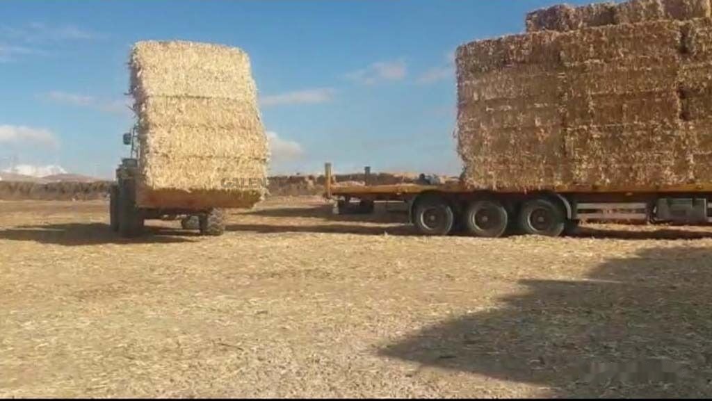 Horquillas para Maquinaria agrícola Galen Loader Bale Spear Attachment: foto 7