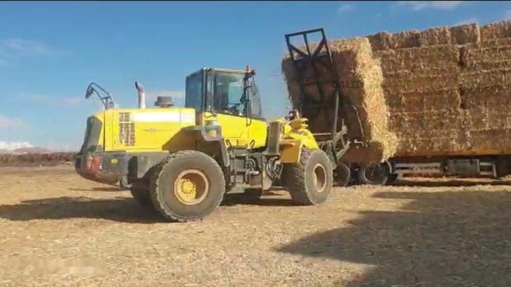 Galen Loader Bale Spear Attachment - Horquillas para Maquinaria agrícola: foto 4 Galen Loader Bale Spear Attachment - Horquillas para Maquinaria agrícola: foto 4