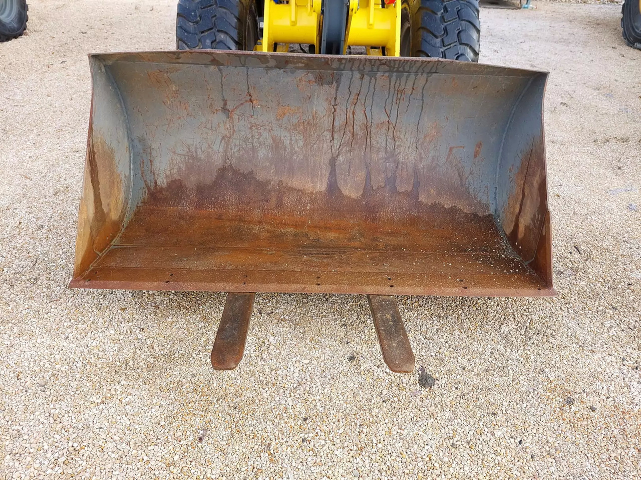 Cargadora de ruedas 2022 Wacker Neuson WL 44: foto 14