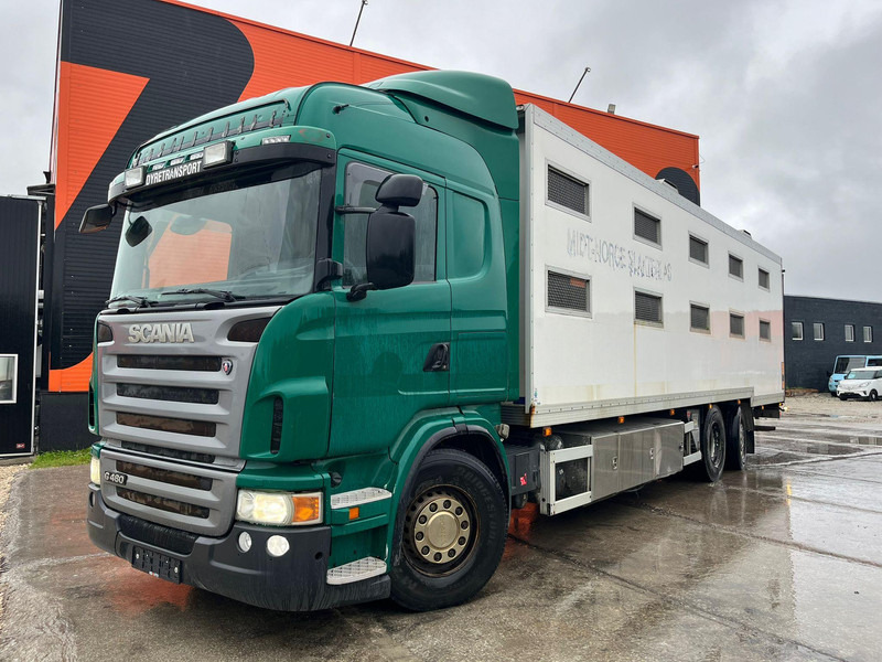 Scania G 480 6x2*4 BOX L=9212 mm / COOLANT LEAKAGE ON 3 RD CYLINDER - Camión transporte de ganado: foto 2 Scania G 480 6x2*4 BOX L=9212 mm / COOLANT LEAKAGE ON 3 RD CYLINDER - Camión transporte de ganado: foto 2