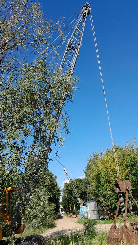 Nobas UB 1252-1 - Dragalina: foto 5 Nobas UB 1252-1 - Dragalina: foto 5