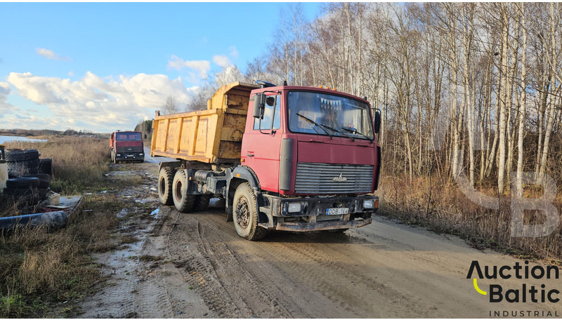 Maz 551669 - Camión volquete: foto 2 Maz 551669 - Camión volquete: foto 2