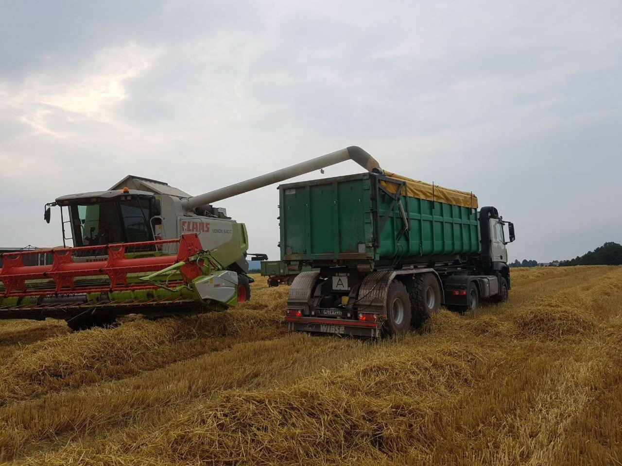 Auflieger Abrollkipper Hakenlift Agrar - Semirremolque portacontenedore/ Intercambiable: foto 3 Auflieger Abrollkipper Hakenlift Agrar - Semirremolque portacontenedore/ Intercambiable: foto 3