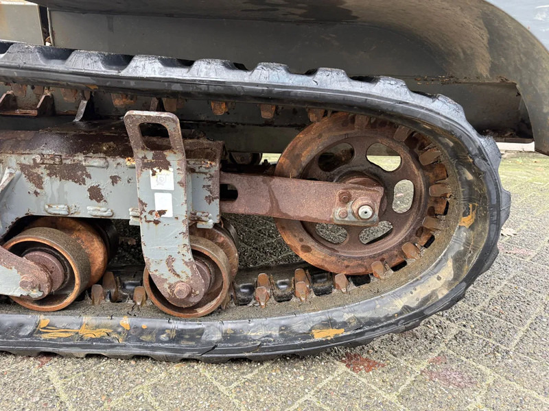 Minidumper WACKER NEUSON DT 25 2850 KG RUPS DUMPER Mini dumper: foto 16