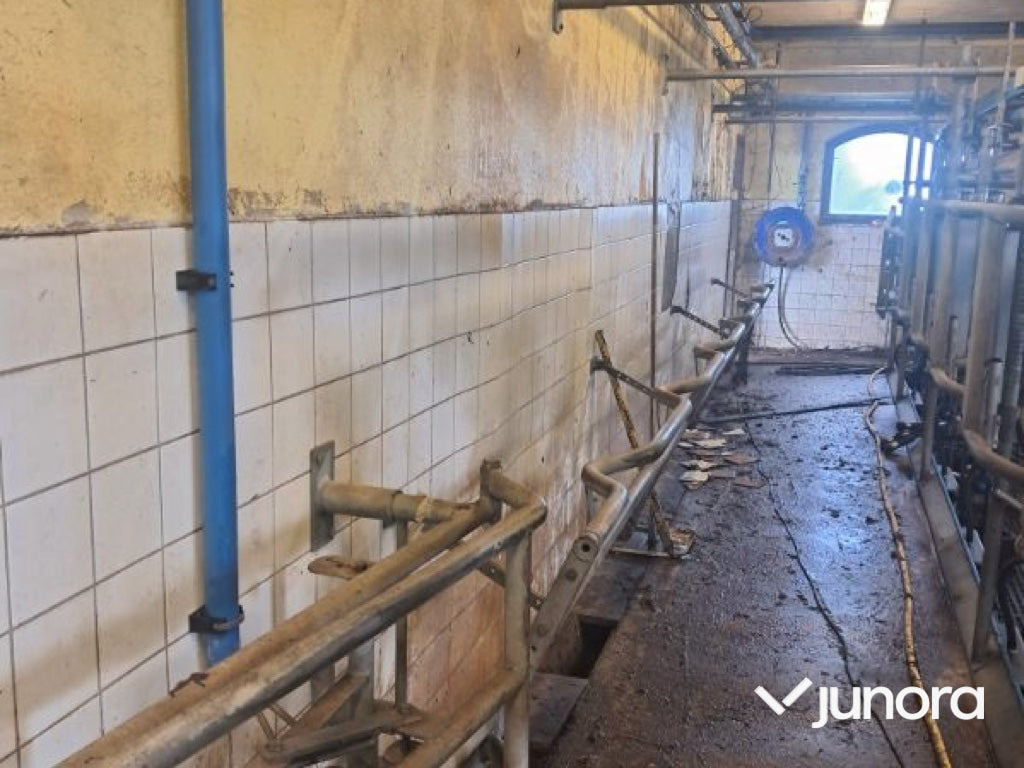 DeLaval 2x6 fiskbensstall - Máquina de ordeño: foto 4 DeLaval 2x6 fiskbensstall - Máquina de ordeño: foto 4