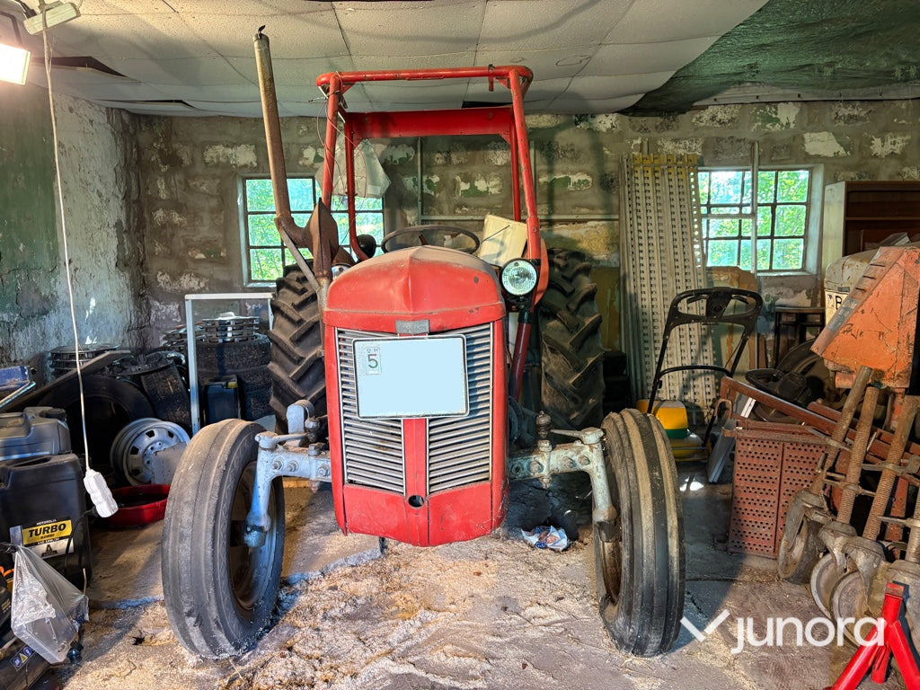 Traktor - Ferguson, Grålle - Tractor: foto 2 Traktor - Ferguson, Grålle - Tractor: foto 2