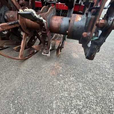 Cosechadoras de remolacha Agrifac Lighttraxx: foto 24