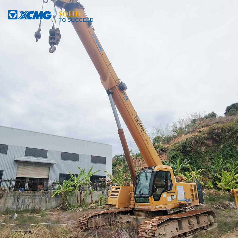 XCMG XGC30T 30ton mini small crawler crane 2016 for sale - Grúa sobre orugas: foto 1 XCMG XGC30T 30ton mini small crawler crane 2016 for sale - Grúa sobre orugas: foto 1