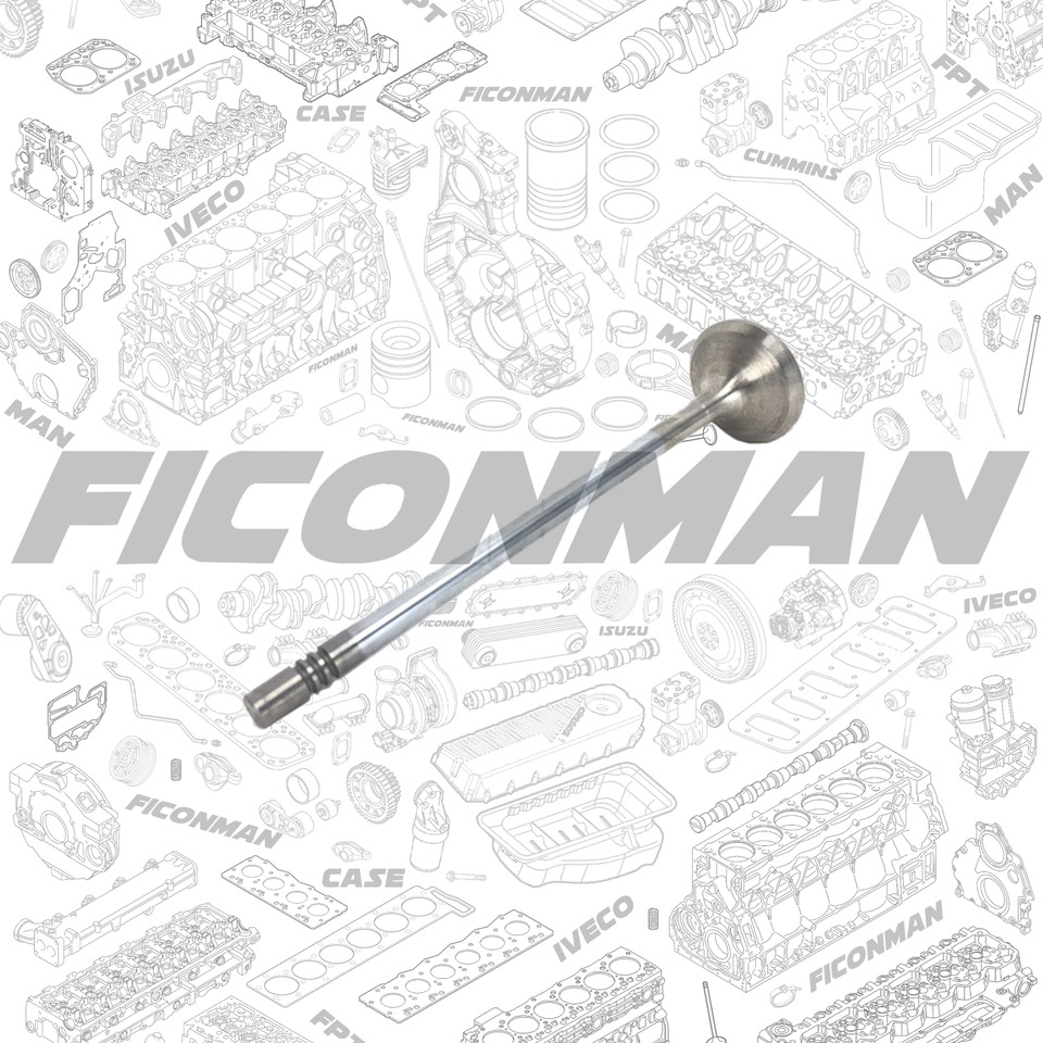 FORD Ford Trucks F-MAX ECOTORQ 9L Exhaust valve 2C46-6505-CA , T122136 , 2C466505CA - Válvula para Camión: foto 1 FORD Ford Trucks F-MAX ECOTORQ 9L Exhaust valve 2C46-6505-CA , T122136 , 2C466505CA - Válvula para Camión: foto 1