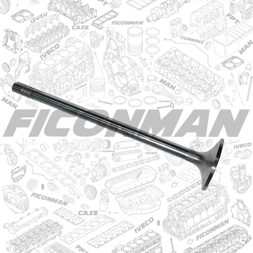 Ford Ford Trucks F-MAX ECOTORQ 9L Intake Valve 2C466507-CA ,T162806, 2C466507CA - Válvula para Camión: foto 2 Ford Ford Trucks F-MAX ECOTORQ 9L Intake Valve 2C466507-CA ,T162806, 2C466507CA - Válvula para Camión: foto 2