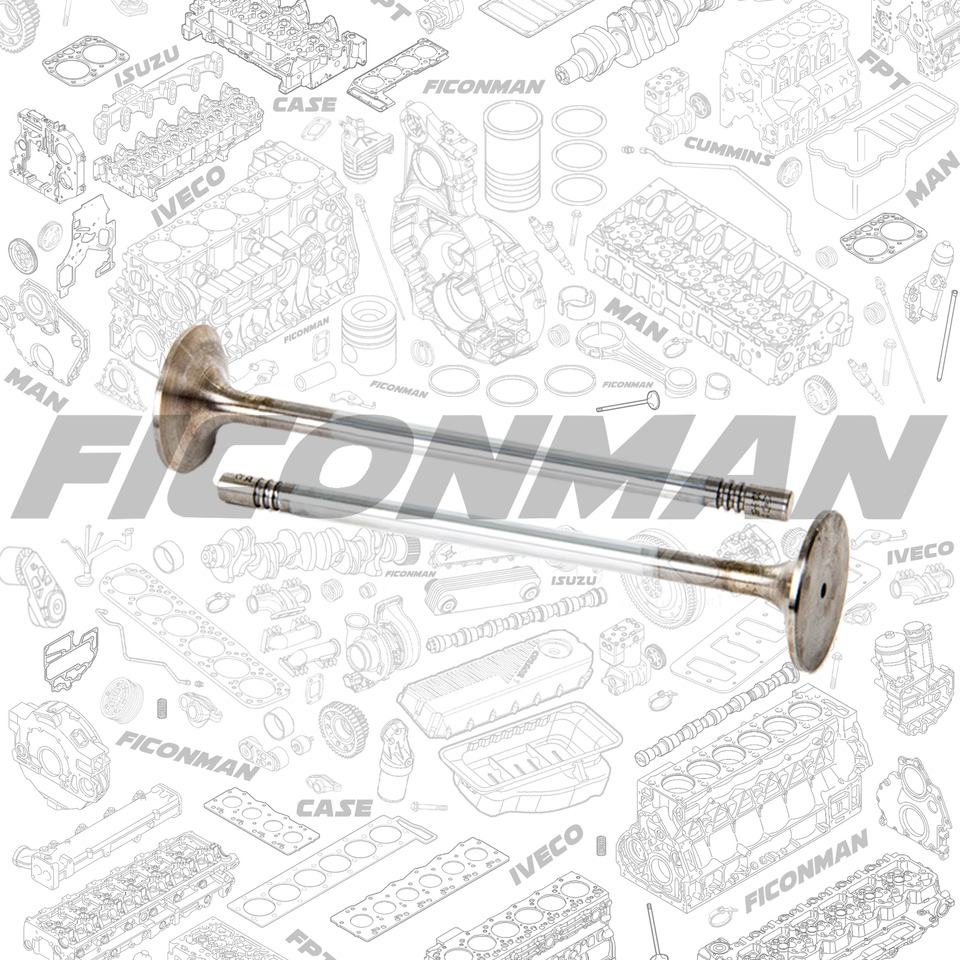 Ford Ford Trucks F-MAX ECOTORQ 9L Intake Valve 2C466507-CA ,T162806, 2C466507CA - Válvula para Camión: foto 1 Ford Ford Trucks F-MAX ECOTORQ 9L Intake Valve 2C466507-CA ,T162806, 2C466507CA - Válvula para Camión: foto 1
