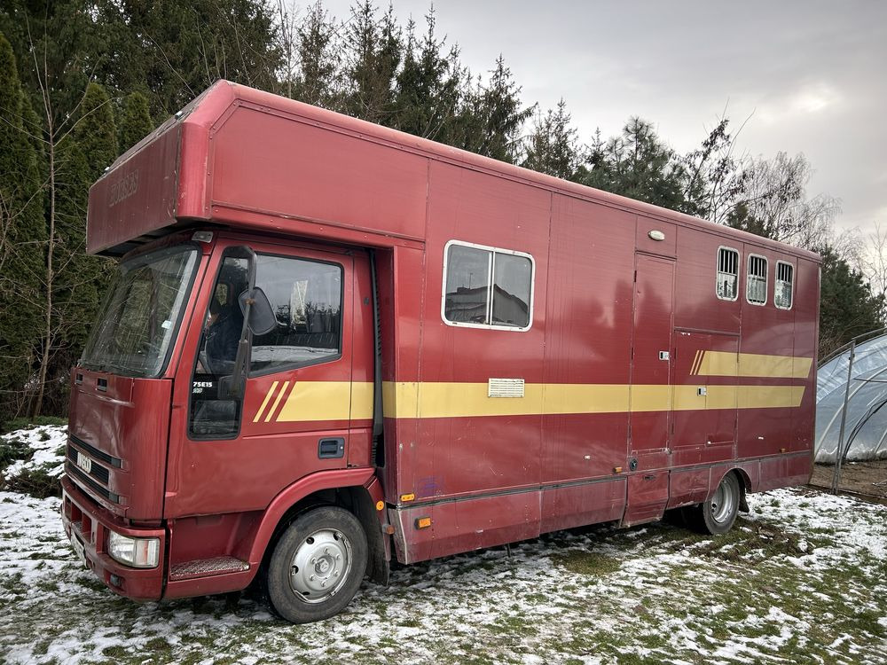 Kamper koniowoz Iveco 2w1 - Camión para caballos: foto 1 Kamper koniowoz Iveco 2w1 - Camión para caballos: foto 1