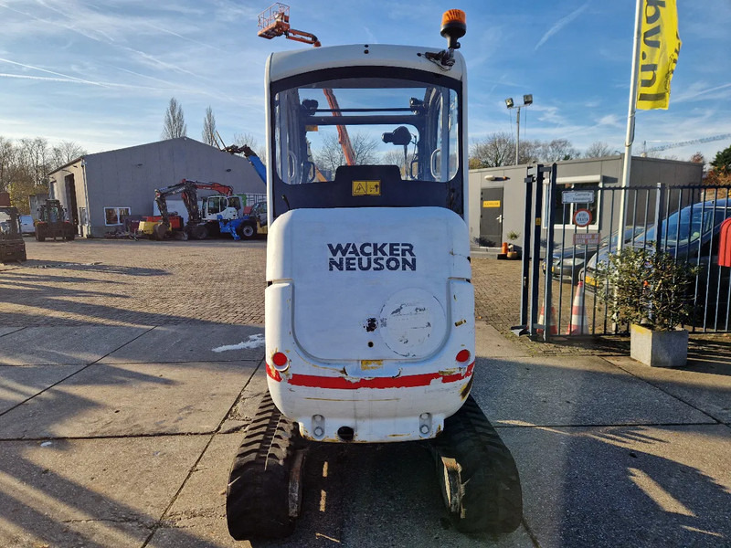 WACKER NEUSON 2404RD kan op een helling draaien - Miniexcavadora: foto 4 WACKER NEUSON 2404RD kan op een helling draaien - Miniexcavadora: foto 4