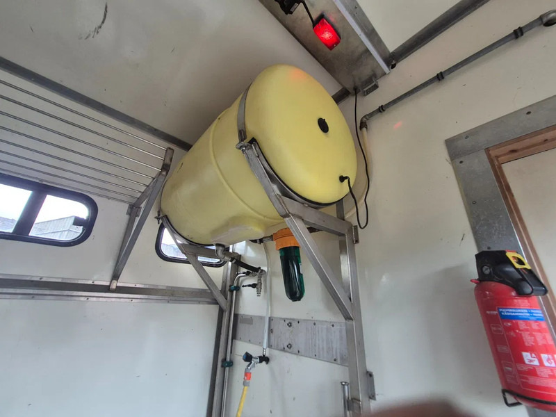 Camión para caballos Volvo FH 12.... 380pk luchtgeveerd voor en achteras: foto 17