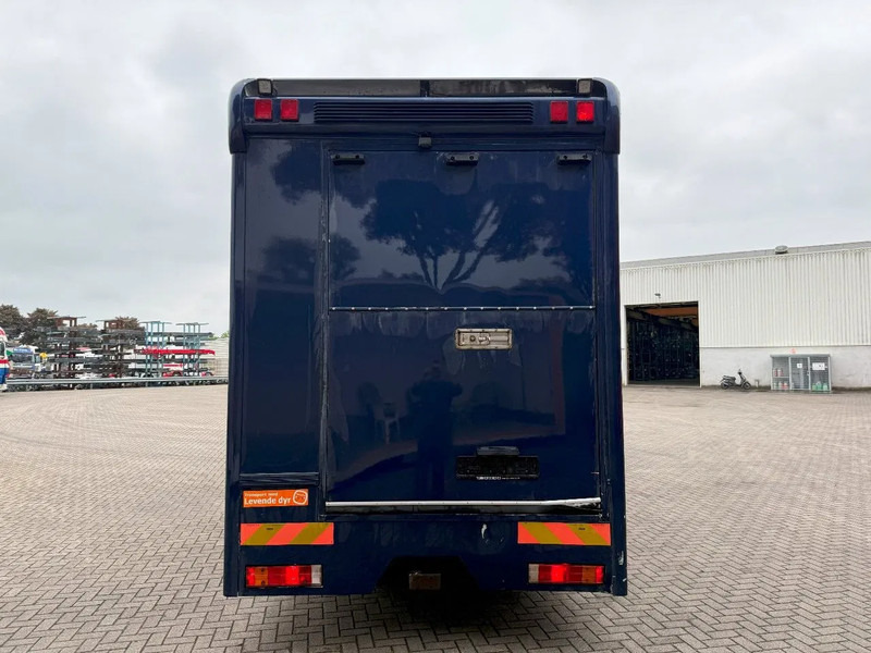 Mercedes-Benz Atego 1223 / ENGINE RUNNING / ONLY:159450 KM / HORSETRUCK / HEATED BOX / GEN2-TACHO= WATERTANK / LIVING ROOM / EURO-2 / MANUAL / - Camión para caballos: foto 4 Mercedes-Benz Atego 1223 / ENGINE RUNNING / ONLY:159450 KM / HORSETRUCK / HEATED BOX / GEN2-TACHO= WATERTANK / LIVING ROOM / EURO-2 / MANUAL / - Camión para caballos: foto 4
