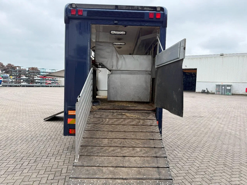 Mercedes-Benz Atego 1223 / ENGINE RUNNING / ONLY:159450 KM / HORSETRUCK / HEATED BOX / WATERTANK / LIVING ROOM / EURO-2 / MANUAL / 1998 - Camión para caballos: foto 5 Mercedes-Benz Atego 1223 / ENGINE RUNNING / ONLY:159450 KM / HORSETRUCK / HEATED BOX / WATERTANK / LIVING ROOM / EURO-2 / MANUAL / 1998 - Camión para caballos: foto 5