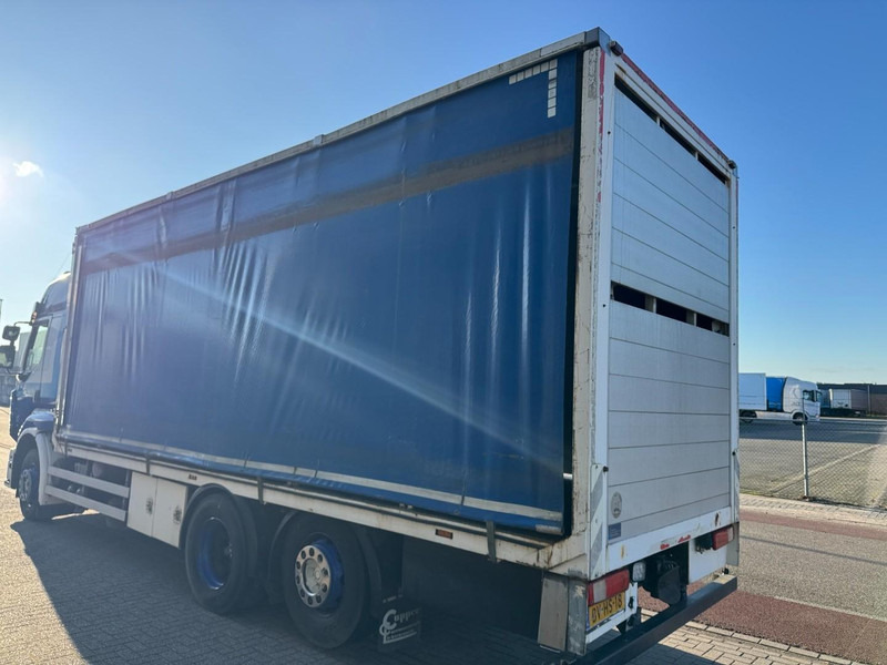 Camión transporte de ganado Renault Premium 410.26, Chicken, Hühner, Kippen, Galinhas: foto 9 Camión transporte de ganado Renault Premium 410.26, Chicken, Hühner, Kippen, Galinhas: foto 9