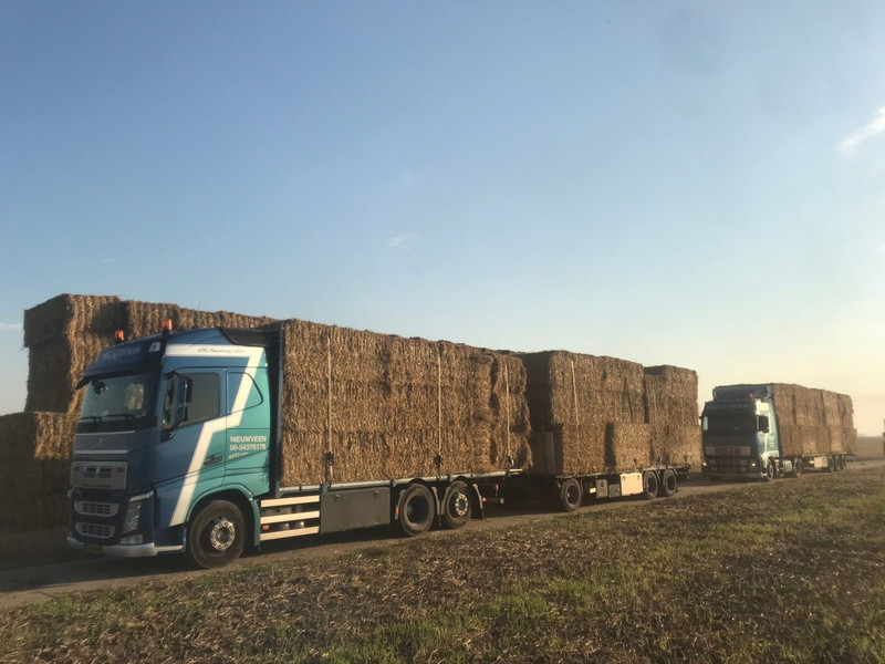 Volvo FH460, HMF 1244 Skip loading platform - Camión grúa: foto 5 Volvo FH460, HMF 1244 Skip loading platform - Camión grúa: foto 5