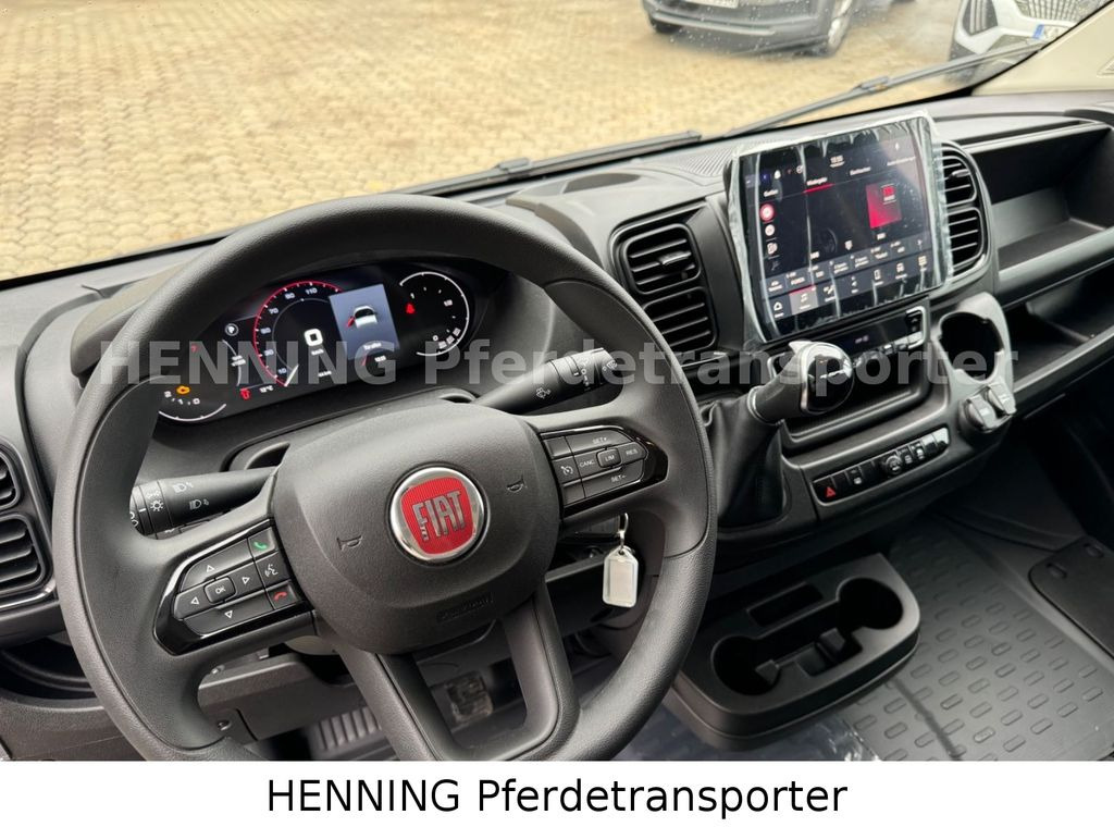 Camión para caballos Fiat Ducato *NEUWAGEN* ca.1100 kg Nutzlast: foto 15 Camión para caballos Fiat Ducato *NEUWAGEN* ca.1100 kg Nutzlast: foto 15