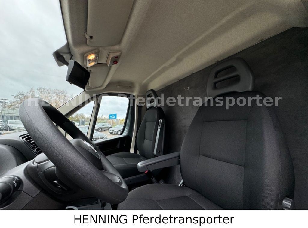 Camión para caballos Fiat Ducato *NEUWAGEN* ca.1100 kg Nutzlast: foto 14 Camión para caballos Fiat Ducato *NEUWAGEN* ca.1100 kg Nutzlast: foto 14