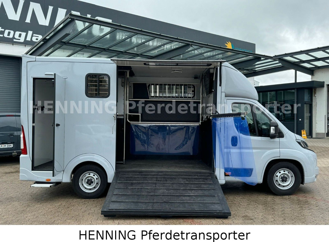 Peugeot Boxer 3 - Sitzer *GROSSE SATTELKAMMER* - Camión transporte de ganado: foto 5 Peugeot Boxer 3 - Sitzer *GROSSE SATTELKAMMER* - Camión transporte de ganado: foto 5