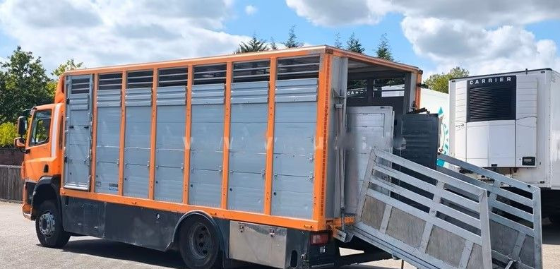 DAF CF 400 Menke Einstock | Transport zwierząt jednopoziomowy | 2 kratownice do bydła| Retarder | Euro 6 - Camión transporte de ganado: foto 4 DAF CF 400 Menke Einstock | Transport zwierząt jednopoziomowy | 2 kratownice do bydła| Retarder | Euro 6 - Camión transporte de ganado: foto 4