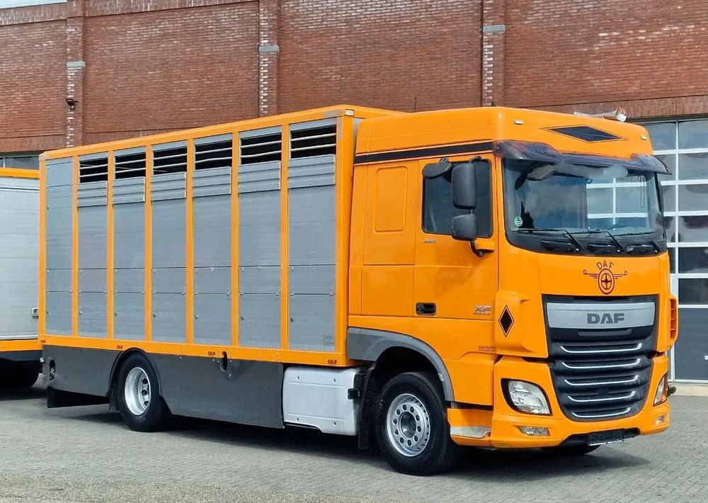 DAF XF 460 4x2 SpaceCab – Menke Livestock | 1 pokład | Euro 6 | 2016 - Camión transporte de ganado: foto 4 DAF XF 460 4x2 SpaceCab – Menke Livestock | 1 pokład | Euro 6 | 2016 - Camión transporte de ganado: foto 4