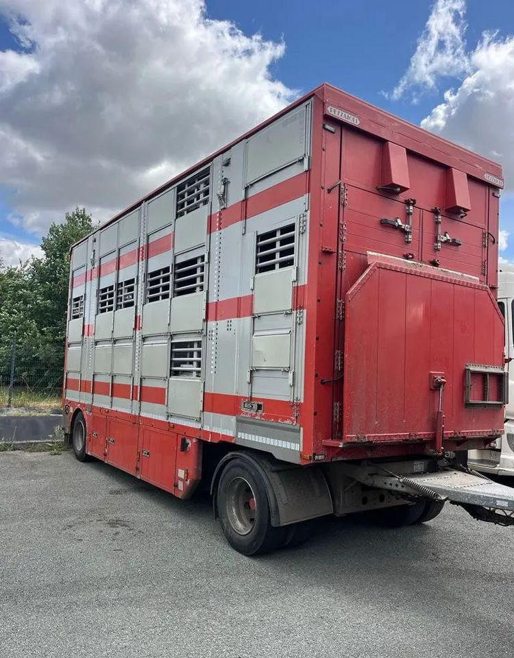 DAF XF 530 + Przyczepa Pezzaoli - 3X Trzoda, 2 X Bydło I 3 poziomy I Podnoszony dach I Hydroburta I Osie Skrętne I Poidła I Wentylatory I Pilot Manualny | - Camión transporte de ganado: foto 4 DAF XF 530 + Przyczepa Pezzaoli - 3X Trzoda, 2 X Bydło I 3 poziomy I Podnoszony dach I Hydroburta I Osie Skrętne I Poidła I Wentylatory I Pilot Manualny | - Camión transporte de ganado: foto 4