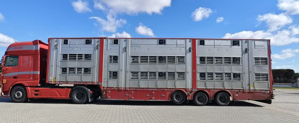 Pezzaioli SBA32/hydrauliczny dach/hydrauliczna rampa/ 3 poziomy/ 2xbydło -3xtrzoda/wentylatory/poidła/sterowanie pilotem - Semirremolque transporte de ganado: foto 3 Pezzaioli SBA32/hydrauliczny dach/hydrauliczna rampa/ 3 poziomy/ 2xbydło -3xtrzoda/wentylatory/poidła/sterowanie pilotem - Semirremolque transporte de ganado: foto 3