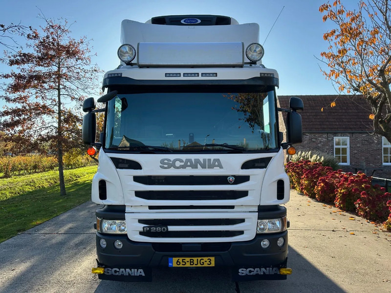 Scania P280 / NL TRUCK / EURO 6 / FULL AIR / CARRIER SUPRA 1250 / TOPCONDITION / LIFT+DOORS - Camión frigorífico: foto 2 Scania P280 / NL TRUCK / EURO 6 / FULL AIR / CARRIER SUPRA 1250 / TOPCONDITION / LIFT+DOORS - Camión frigorífico: foto 2