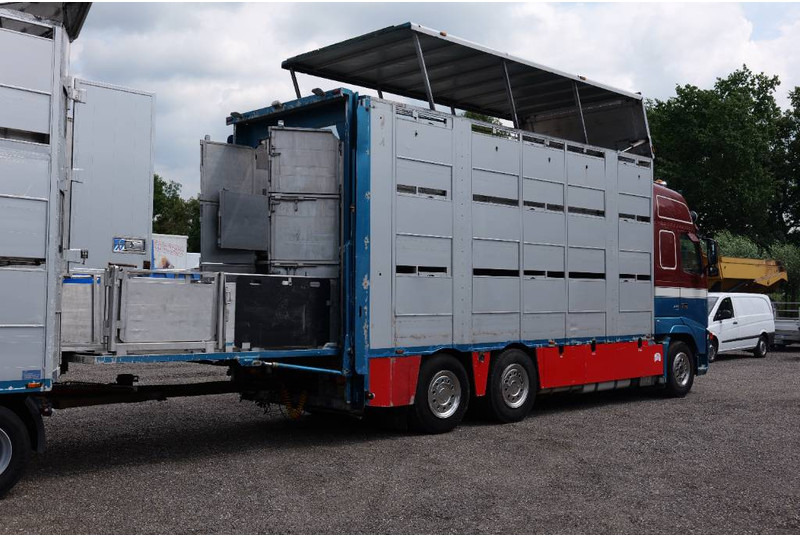 Volvo FH 13 480 6x2 3 stock livestock transport Cuppers - Camión transporte de ganado: foto 5 Volvo FH 13 480 6x2 3 stock livestock transport Cuppers - Camión transporte de ganado: foto 5