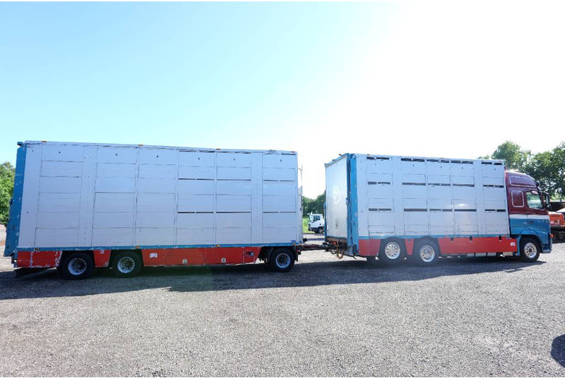 Volvo FH 13 480 6x2 3 stock livestock transport Cuppers - Camión transporte de ganado: foto 4 Volvo FH 13 480 6x2 3 stock livestock transport Cuppers - Camión transporte de ganado: foto 4