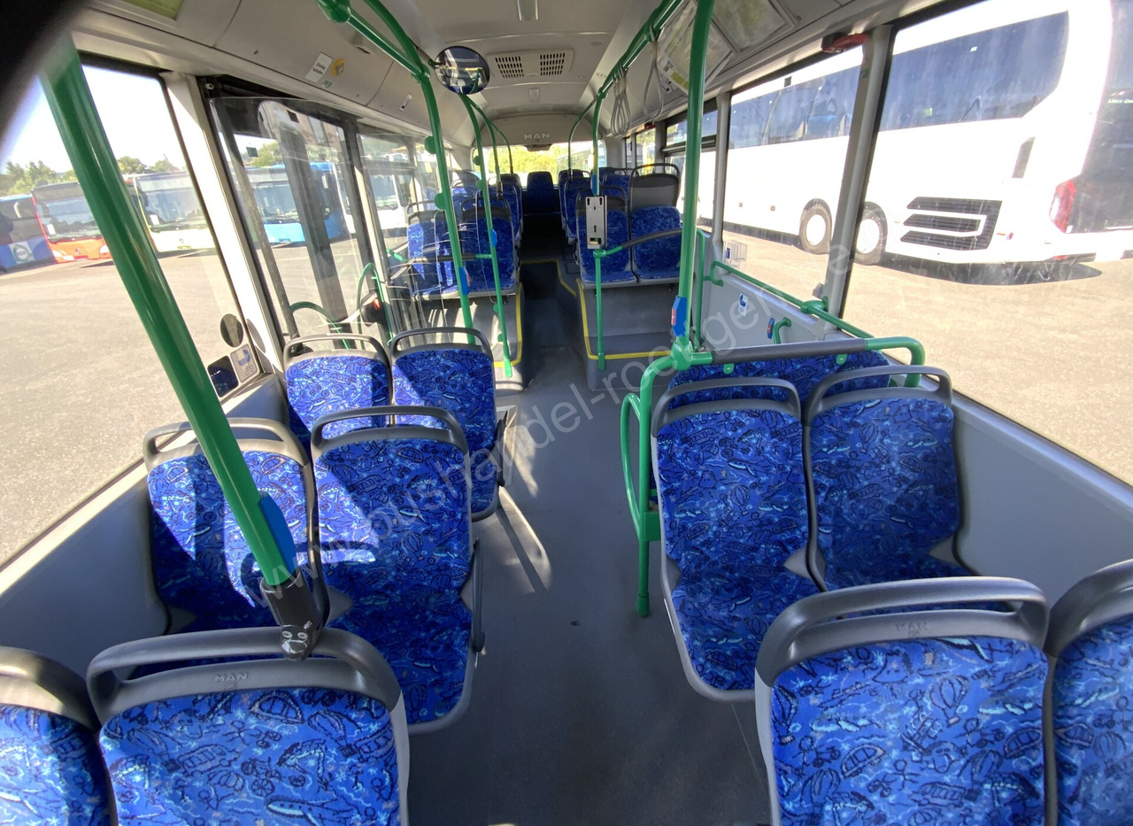 Autobús urbano MAN A 21 Lion´s City: foto 11