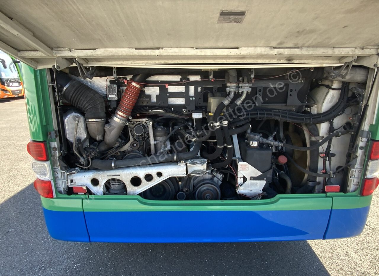 Autobús urbano MAN A 21 Lion´s City: foto 7