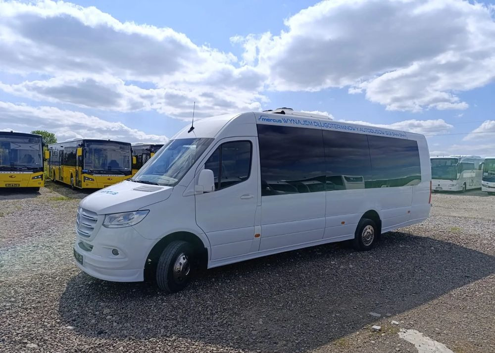Minibús, Furgoneta de pasajeros Mercedes-Benz Sprinter 519: foto 11