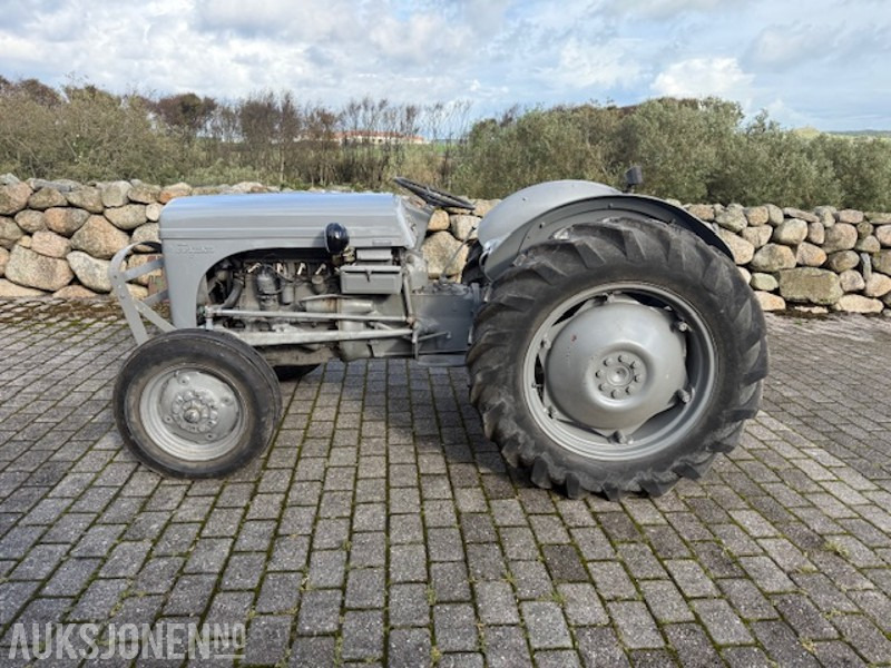 1960 Massey Ferguson Gråtass - Tractor: foto 1 1960 Massey Ferguson Gråtass - Tractor: foto 1