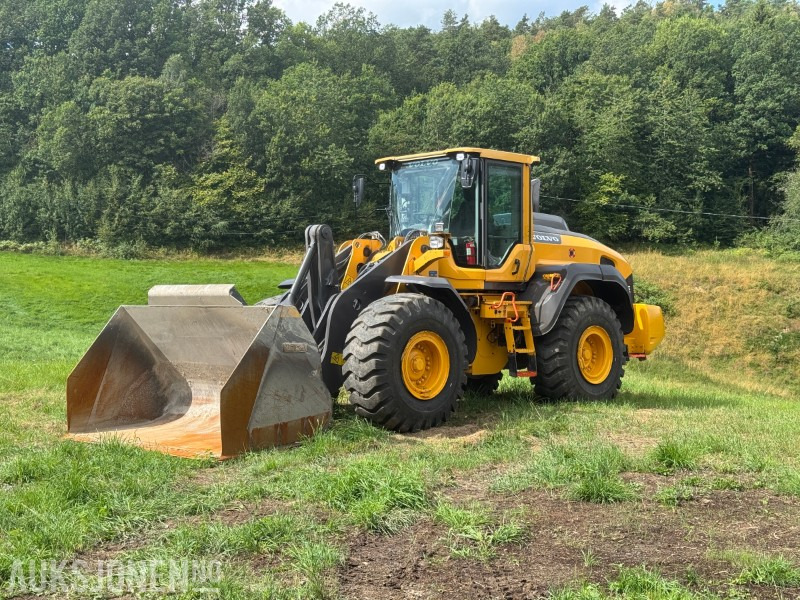 2016 Volvo L110H Hjullaster - Spakestyring - Vekt - Cargadora de ruedas: foto 1 2016 Volvo L110H Hjullaster - Spakestyring - Vekt - Cargadora de ruedas: foto 1