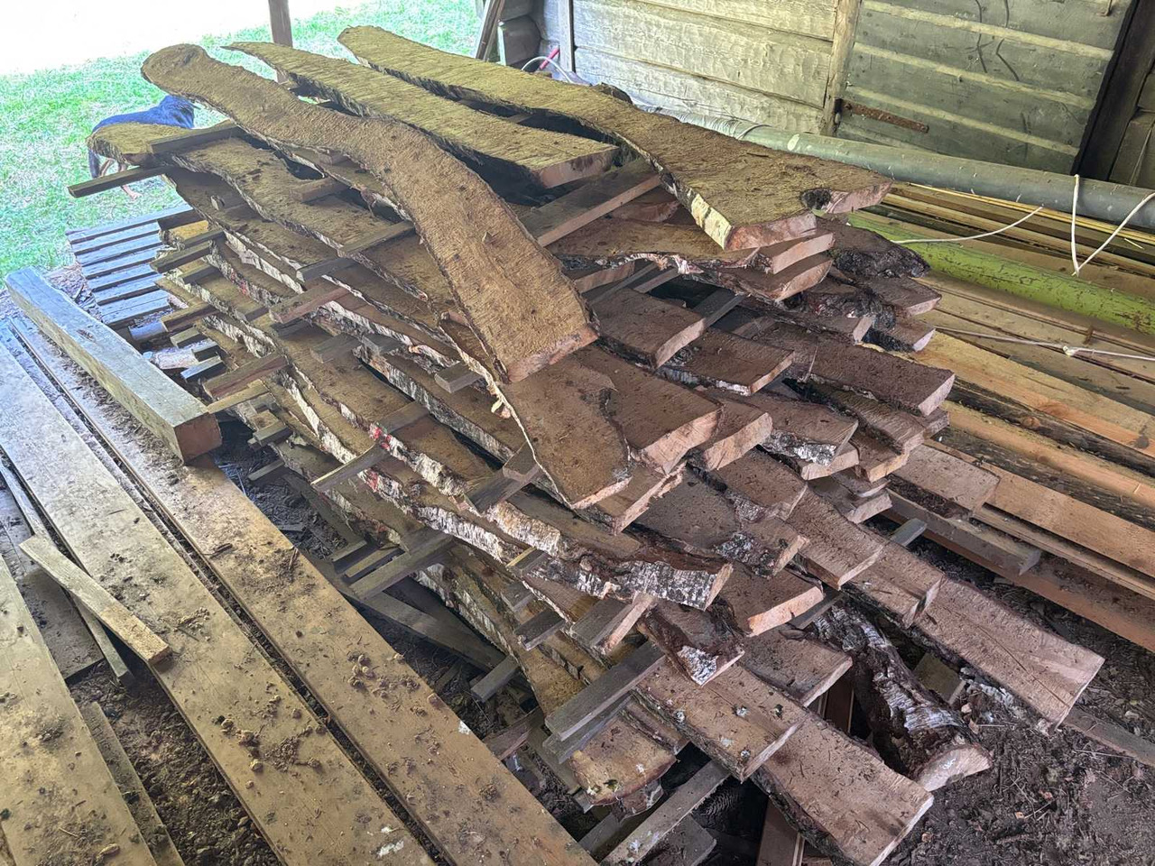 Sheath-sawn curly birch - Equipo de construcción: foto 4 Sheath-sawn curly birch - Equipo de construcción: foto 4