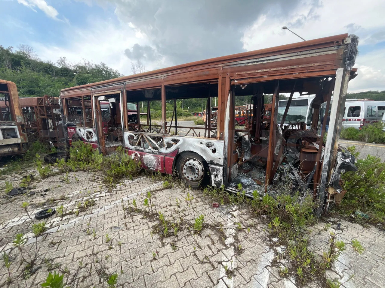 Bundle di 7 mezzi Iveco - Citelis Iveco - Citelis Iveco - Citelis Iveco - Citelis Iveco - Citelis Iveco - Citelis Iveco - Citelis - Autobús urbano: foto 3 Bundle di 7 mezzi Iveco - Citelis Iveco - Citelis Iveco - Citelis Iveco - Citelis Iveco - Citelis Iveco - Citelis Iveco - Citelis - Autobús urbano: foto 3